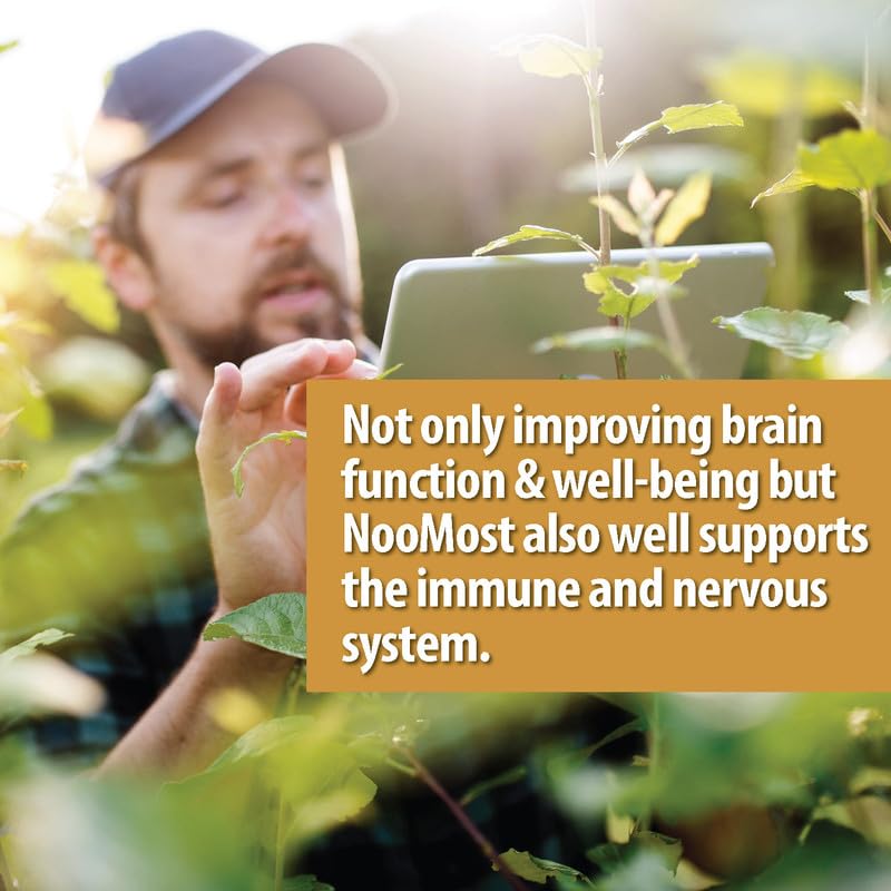 NooMost Organic Lions Mane Supplement Capsules 5400mg, Ginkgo Biloba 120mg NooMost uk supplements