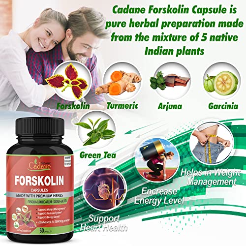 2 Packs Organic Forskolin Supplements Capsules 5000mg with Turmeric, Arjuna, Garcinia Cambogia Organic Cadane uk supplements