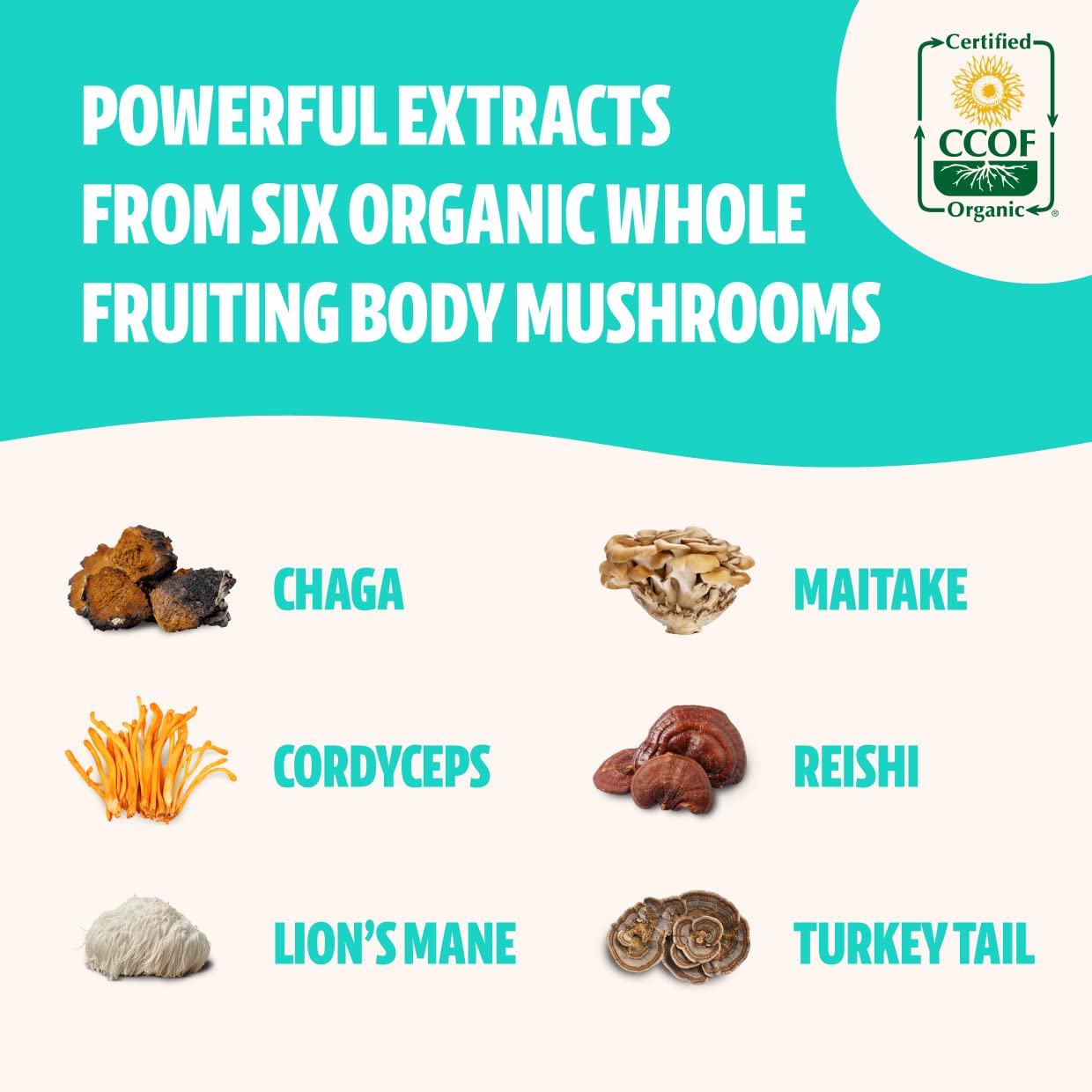 FreshCap Ultimate Mushroom Complex - Lions Mane, Reishi, Cordyceps, Chaga, Turkey Tail FreshCap Mushrooms uk supplements