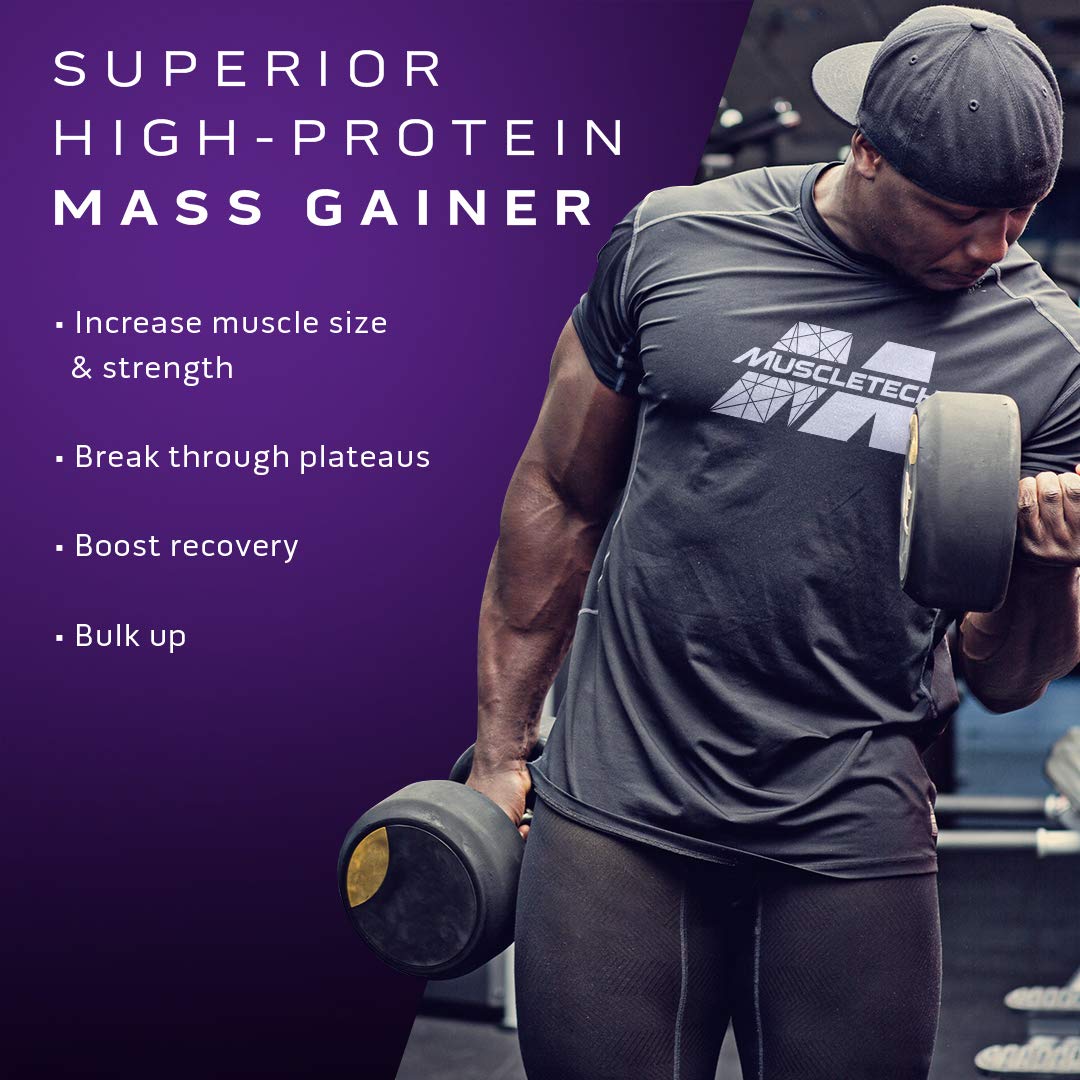 Mass Gainer MuscleTech 100% Mass Gainer Protein Powder Protein Powder for Muscle MuscleTech uk supplements