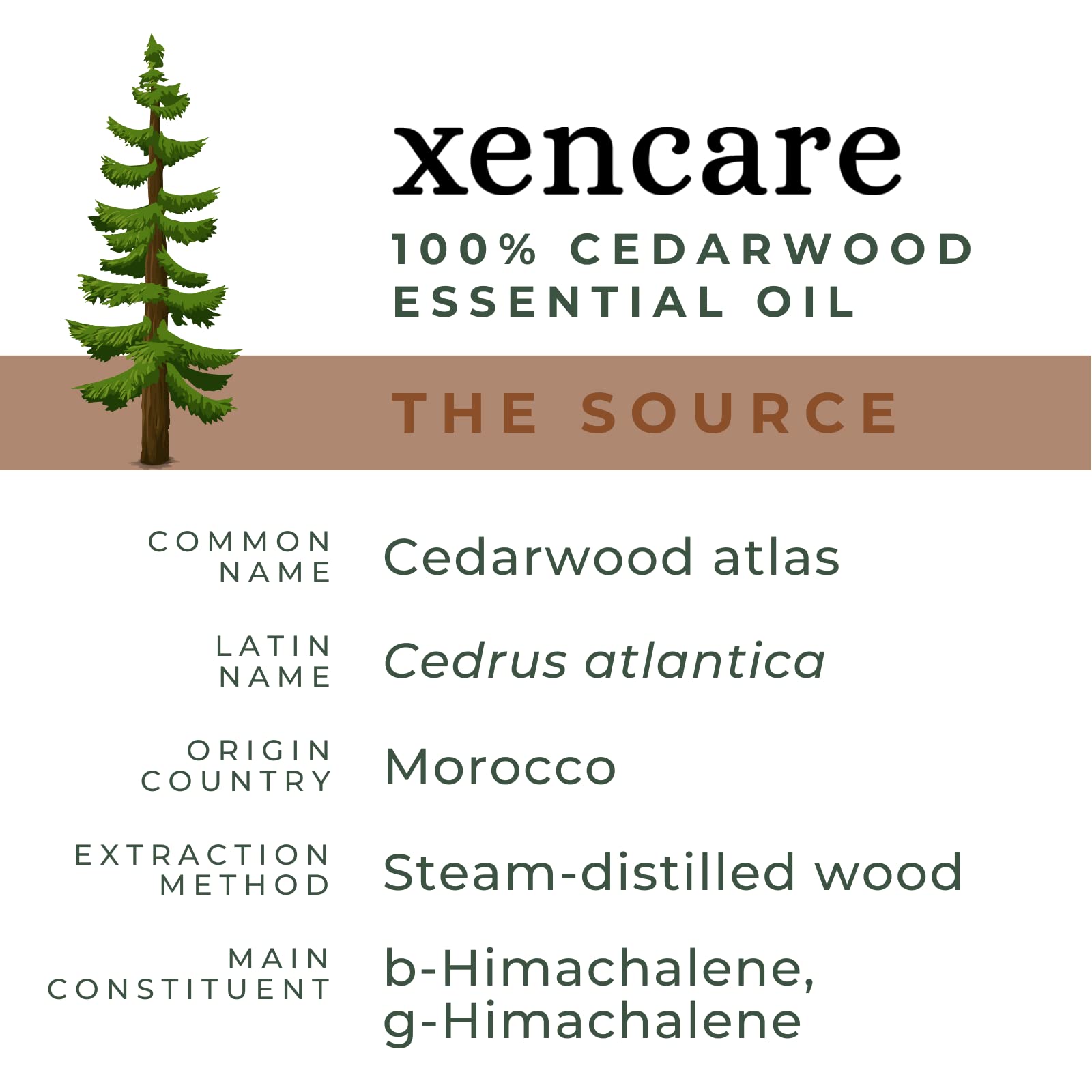 xencare Cedarwood USDA Organic Essential Oil | 100% Pure Natural Undiluted XenCare uk supplements