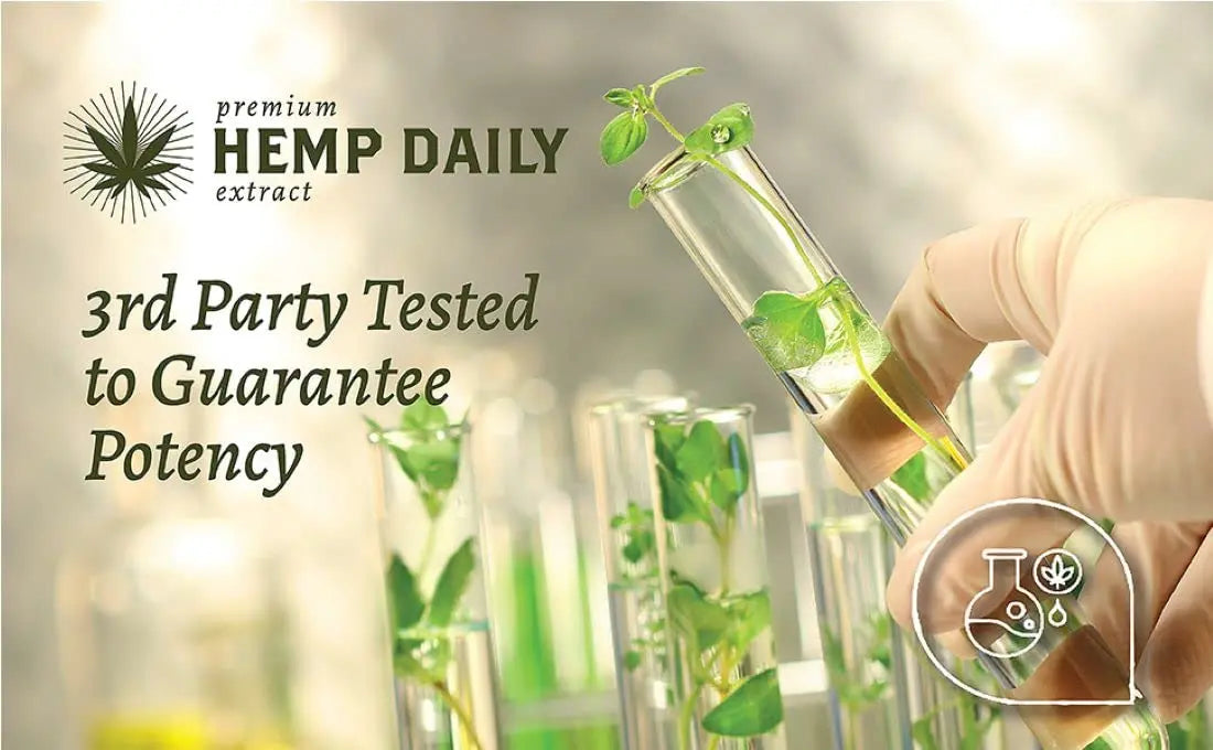 Hemp Daily Active Spray | Hemp Spray with Essential Oils | Vegan, Organic Ingredients | 2 Fluid Ounces (Original Spray, Single) Premium Hemp Extract Daily uk supplements
