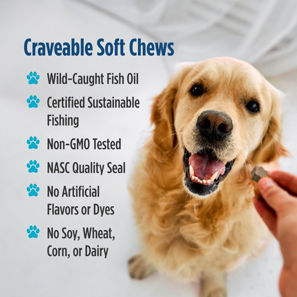 Nordic Naturals Pet Joint Support + Omega 3 Soft Chews for Dogs, Pork Bone Broth Flavored - Promotes Mobility, Hip and Joint Support with Omega-3 Fish Oil, MSM, EPA & DHA - 30 Non-GMO Chews Nordic Naturals uk supplements