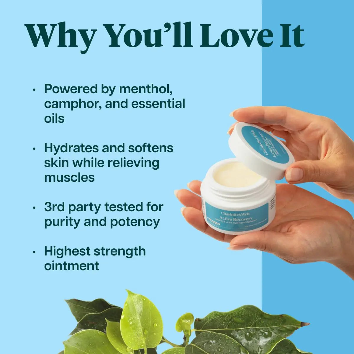 Charlotte's Web Active Recovery Muscle & Joint Relief Ointment 1.55oz Charlotte's Web uk supplements