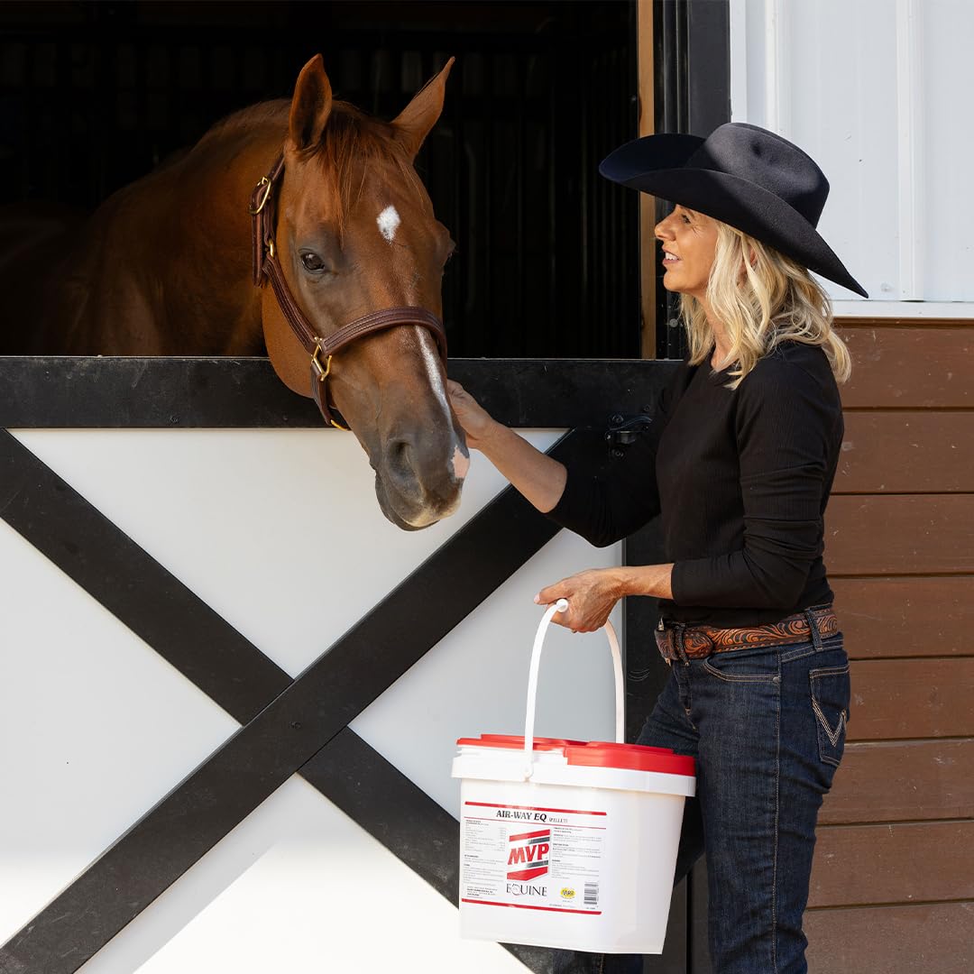 MVP Air-Way EQ Supports Healthy Lung Function and Seasonal Allergy Support in Horses, 5lb - 40 Servings MVP uk supplements