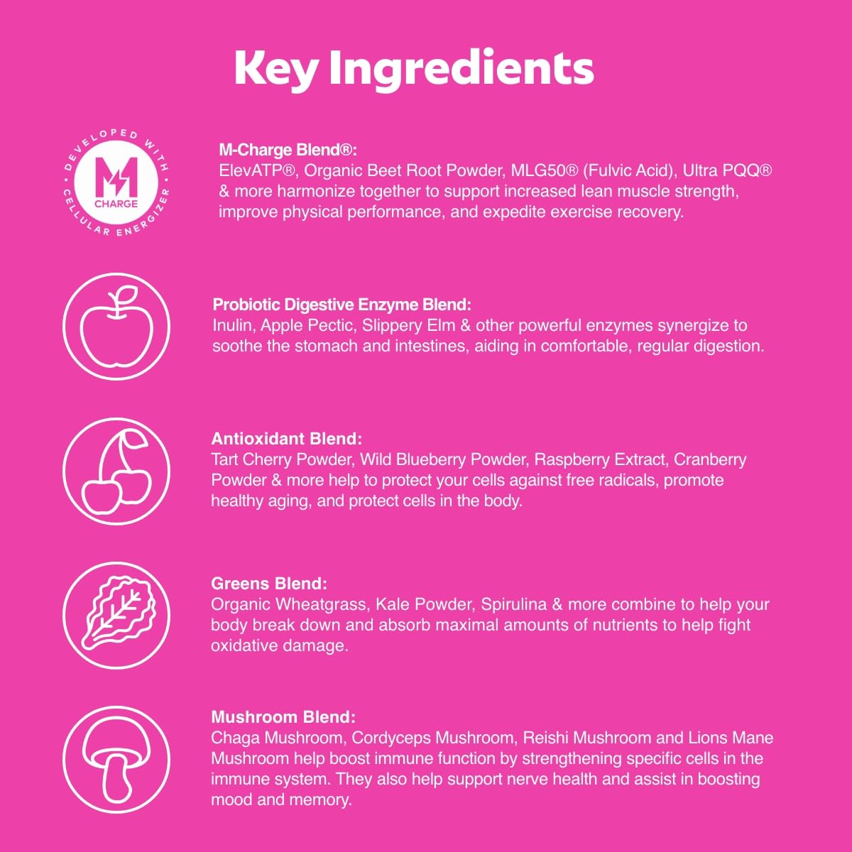 L'Evate You Vitality Daily Greens Powder (28 Servings) 30 Superfoods, 9 Greens - for a Cellular Energy Boost, Powered by M-Charge Complex for All Day Energy (Tart Cherry) Steve Harvey's L'Evate You uk supplements