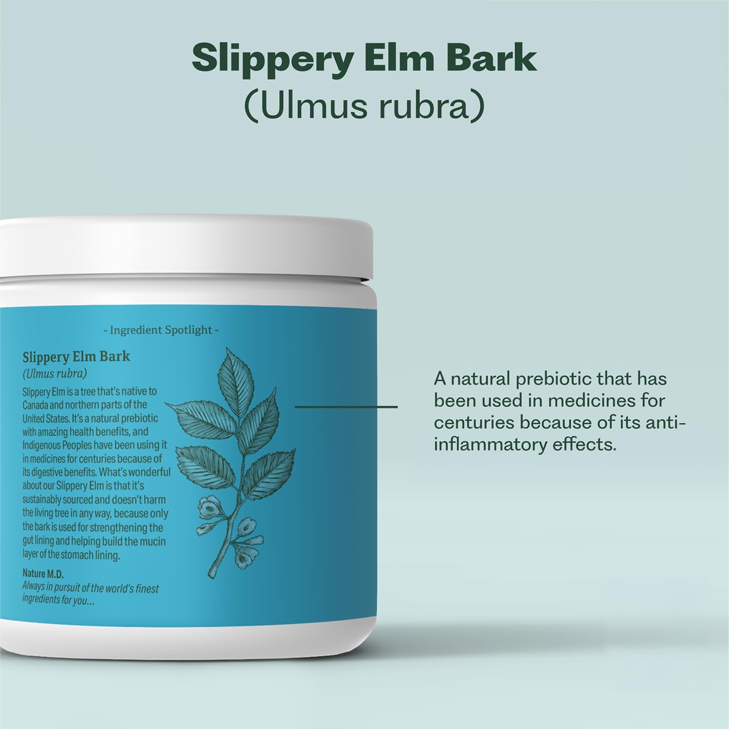 GutConnect 365 Gut Health Superfood Powder | Formulated With Slippery Elm Bark & L Glutamine | Vegan Certified | Allergen Free | Non-GMO | Soy Free | Made in the USA | 30 Servings – Vanilla Cinnamon Nature M.D. uk supplements