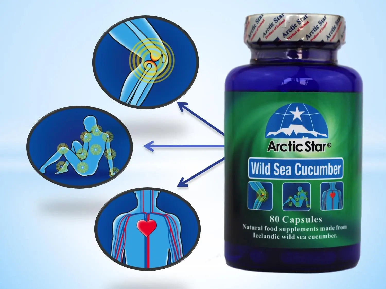 Arctic Star - Sea Cucumber Capsules - Natural Pure Iceland Atlantic Wild Caught Sea Cucumber Extract Supplement Pills - Joint Health t & Immune Health 400mg 80 Capsules/Bottle Arctic Star uk supplements