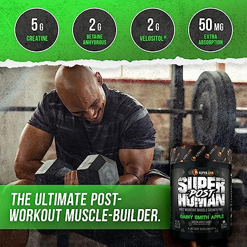 ALPHA LION Superhuman Pre Workout Powder & Post Workout Recovery Bundle, Sustained ALPHA LION uk supplements