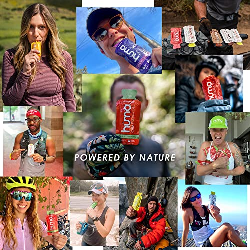 Huma Chia Energy Gel, Apples & Cinnamon, 12 Gels - Premier Sports Nutriti HÜMA CHIA ENERGY GEL uk supplements
