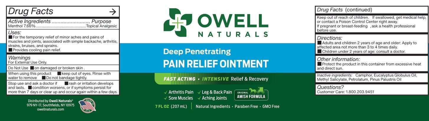 OWELL NATURALS Arthritis Pain Relief Ointment with Arnica & MSM – Deep Penetrating Joint & Muscle Therapy for Knee, Back, Sore Muscles, Legs, 3.5 oz (2 Pack) Owell Naturals uk supplements