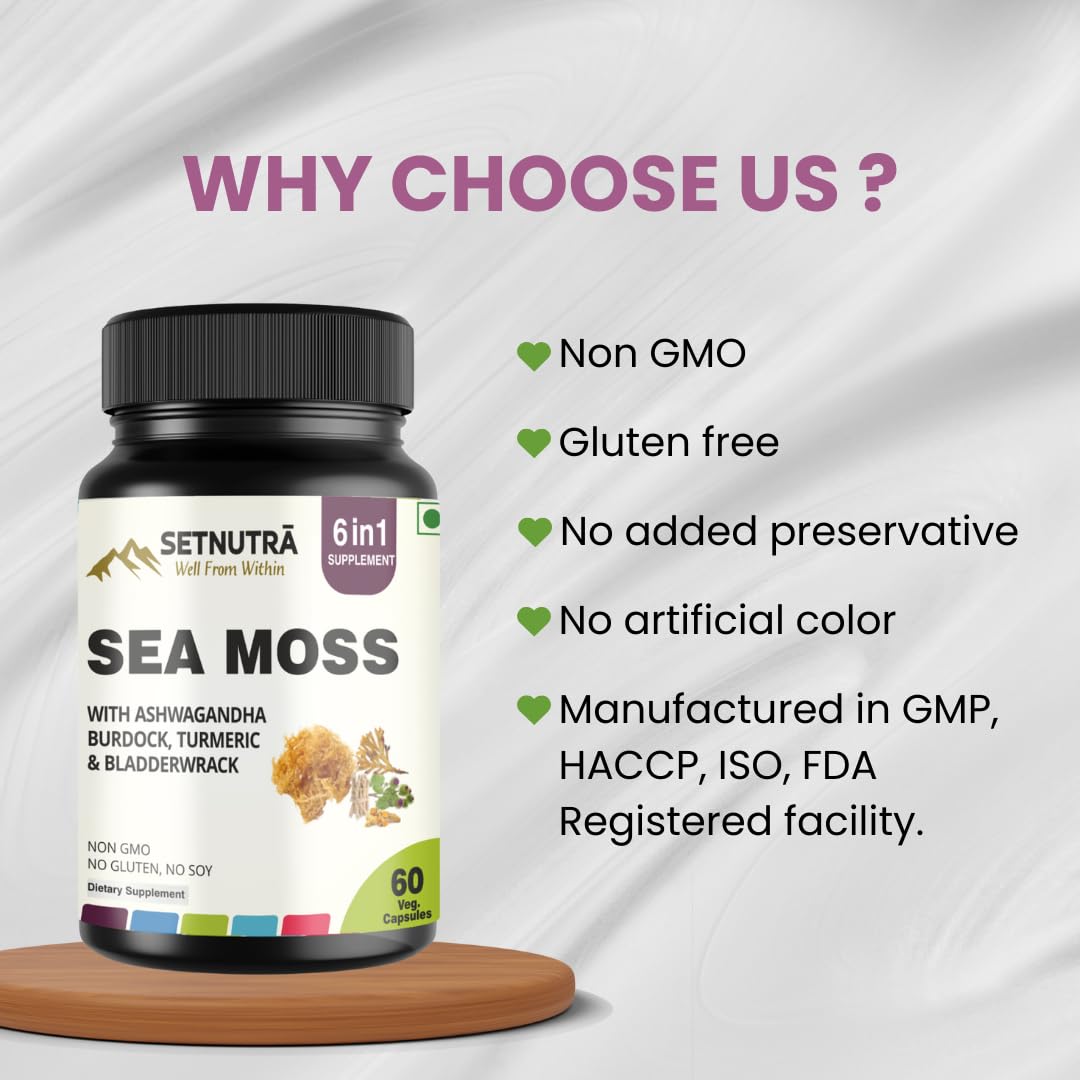 SETNUTRA Well From Within Sea Moss 6 in 1 Super Blend Ashwagandha Burdock Turmeric & Bladderwrack Immunity & Detox Support 60 Veg Capsules Non GMO No Gluten SETNUTRA Well From Within uk supplements