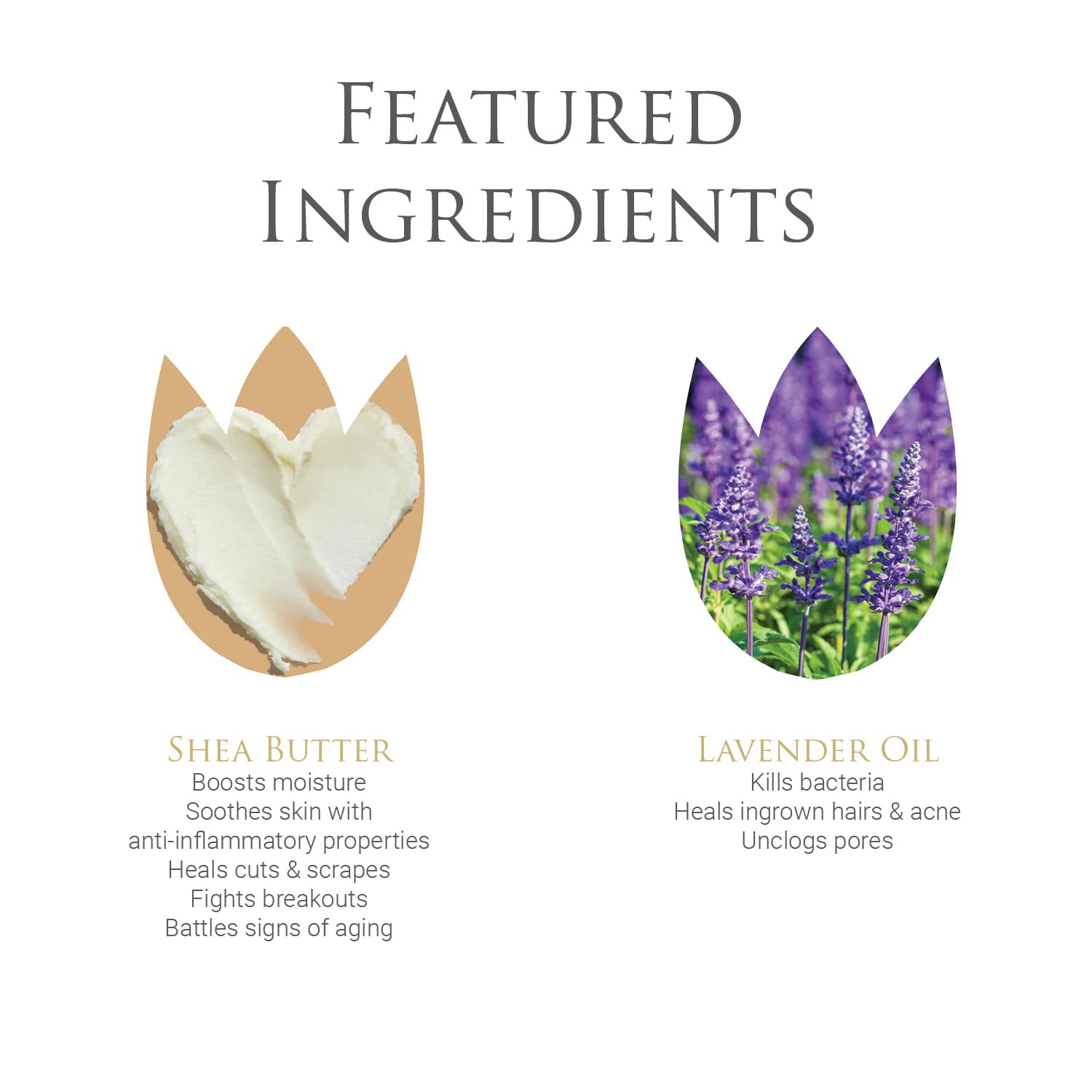 byDr.Poucher Fabulous Foam Wash for Women - pH Balanced Feminine Wash - Gentle, Natural Vulva byDr.Poucher uk supplements