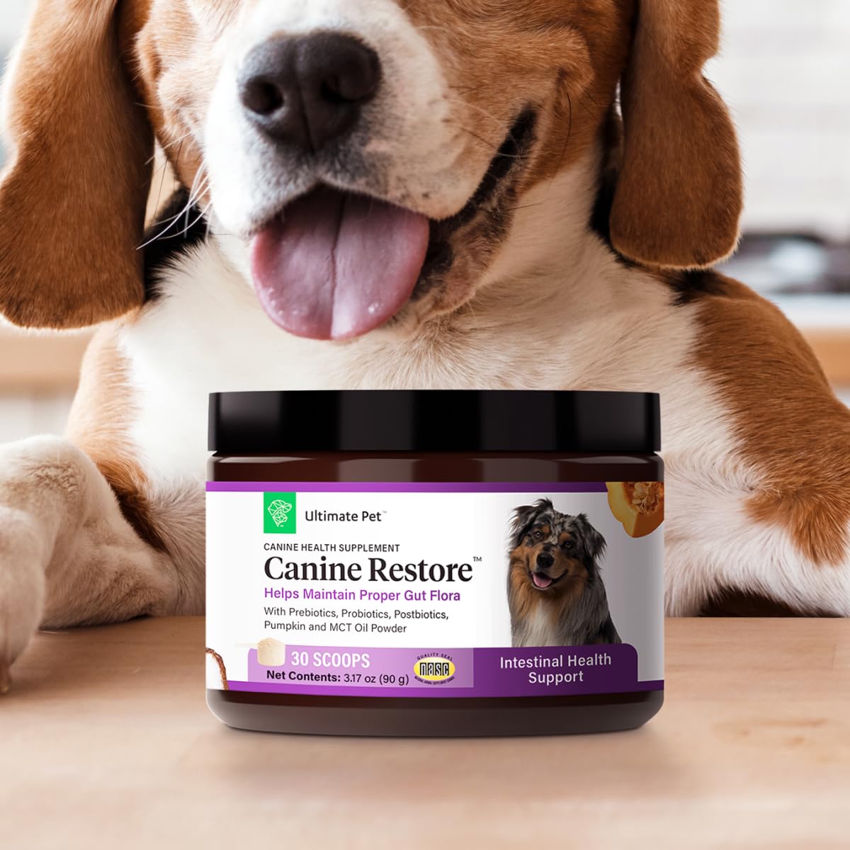 Ultimate Pet Nutrition Canine Restore, Gut Health Supplement with Prebiotics, Probiotics, & Postbiotics for Digestive Health & Immunity Support, Vet Formulated Powder Food Topper ULTIMATE PET NUTRITION uk supplements