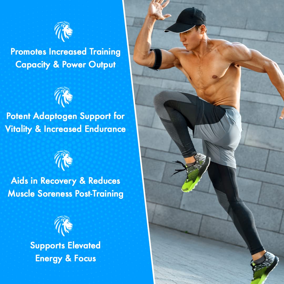 Alpha Lion Superhuman Sport Pre Workout Powder, Preworkout for Men & Women ALPHA LION uk supplements