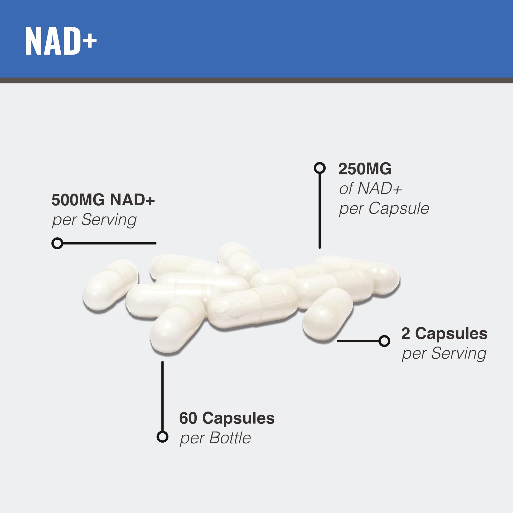 MAAC10 Liposomal NAD Supplement 500mg Serving (2x250mg Capsules) Actual Nicotinamide Adenine Dinucleotide MAAC10 uk supplements