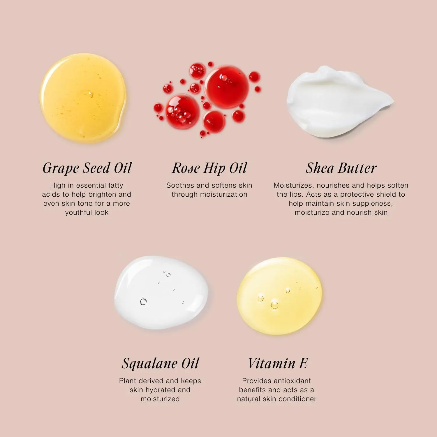Jouer Blush & Bloom Cheek + Lip Duo - Hydrating Cream Blush Stick for Lip and Cheek Tint - Moisturizing Rose Hip and Squalane Oil Formula, Celebrate Jouer uk supplements