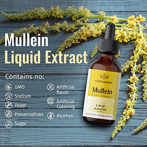 Mullein Leaf Tincture - Lung Cleanse - Vegan Lung Detox - Respiratory Health HERBAMAMA uk supplements