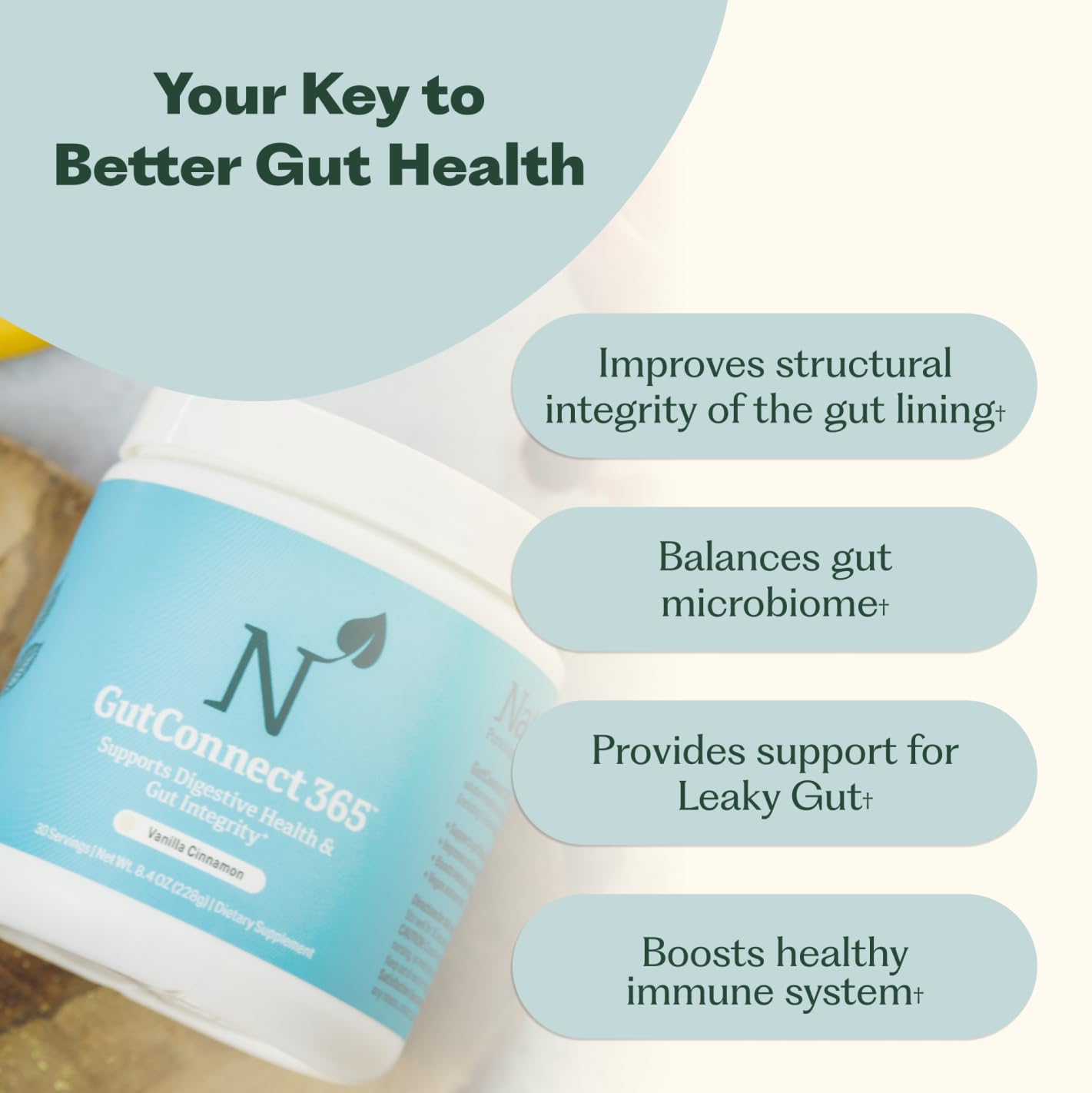 GutConnect 365 Gut Health Superfood Powder | Formulated With Slippery Elm Bark & L Glutamine | Vegan Certified | Allergen Free | Non-GMO | Soy Free | Made in the USA | 30 Servings – Vanilla Cinnamon Nature M.D. uk supplements