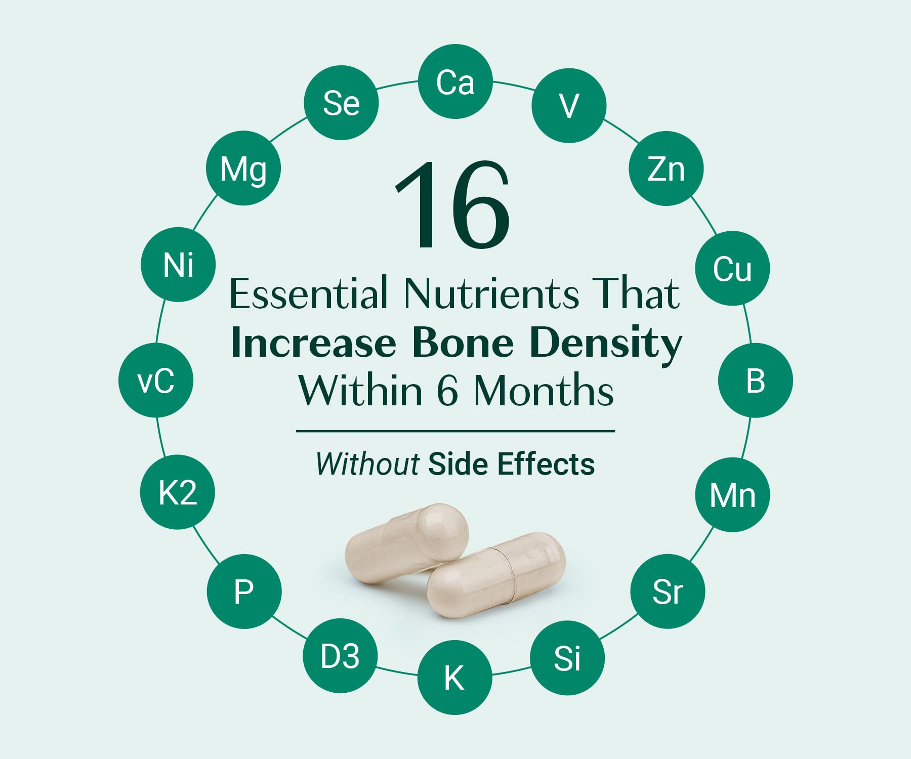 AlgaeCal - Bone Builder Pack for Bone Density Increase, Clinically Supported Plant Based Calcium Supplement & Strontium, Vitamins K2 (100mg), D3 (1600 IU), Magnesium & 16 Essential nutrients ALGAECAL uk supplements