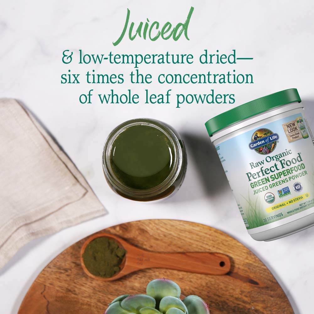 Garden of Life Raw Organic Perfect Food Alkalizer & Detoxifier Juiced Greens Superfood Garden of Life uk supplements