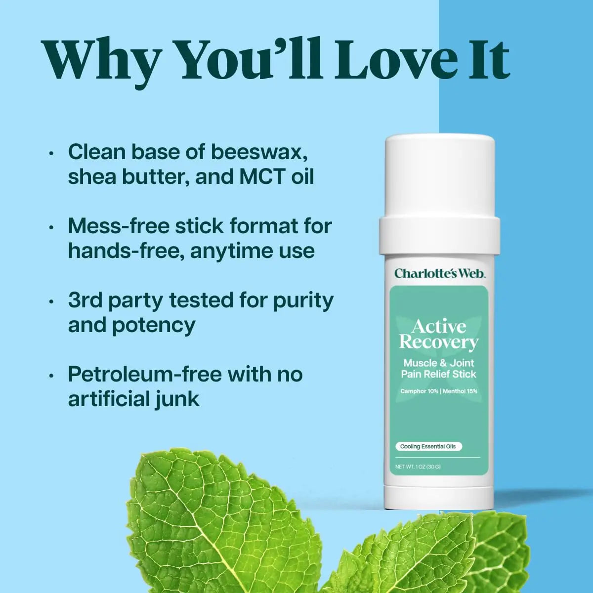 Charlotte's Web Active Recovery Muscle & Joint Pain Relief Stick 1oz Charlotte's Web uk supplements