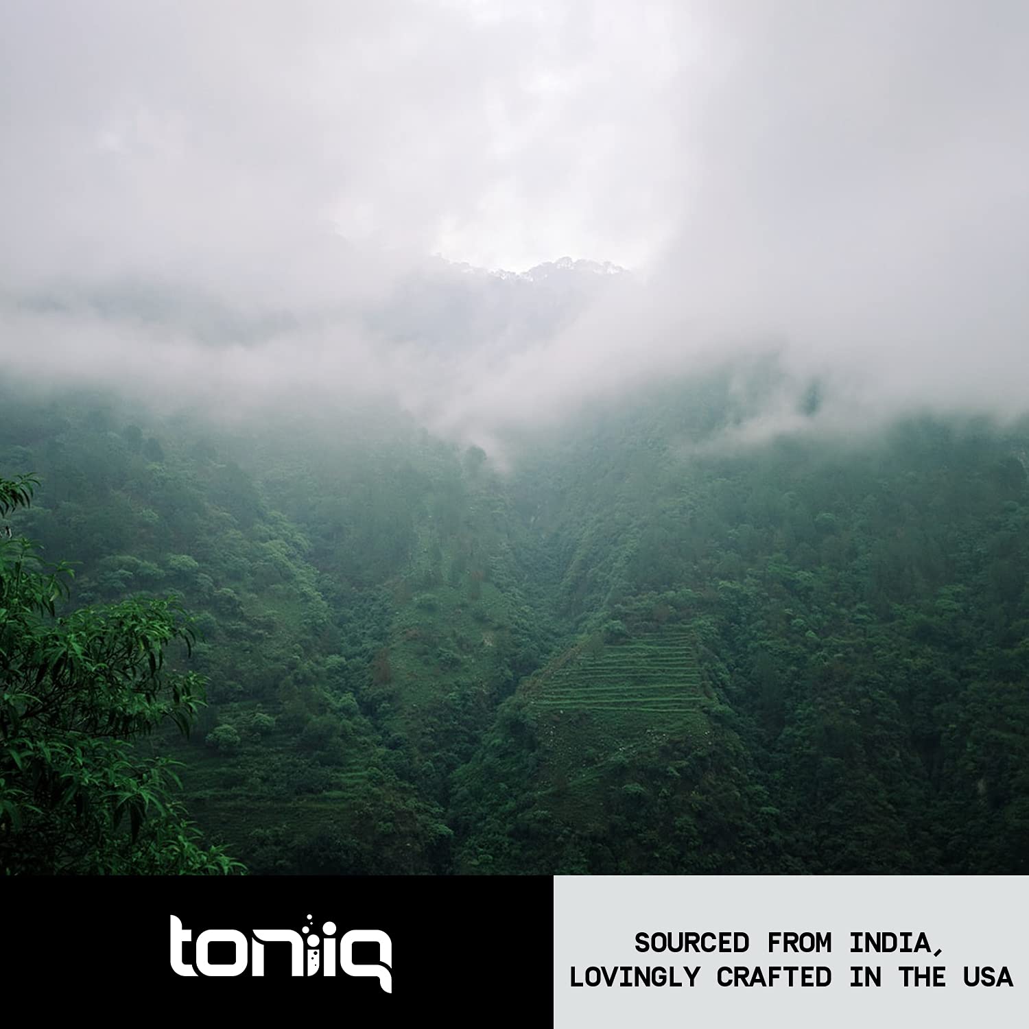 Toniiq 26,000mg 20x Concentrated Extract - 10% Withanolides - Ultra High Strength Toniiq uk supplements
