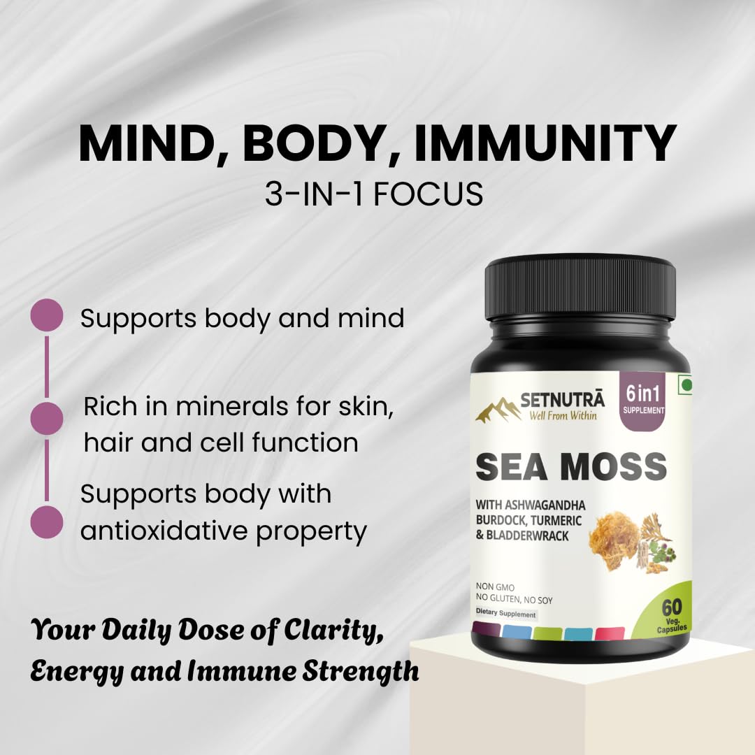 SETNUTRA Well From Within Sea Moss 6 in 1 Super Blend Ashwagandha Burdock Turmeric & Bladderwrack Immunity & Detox Support 60 Veg Capsules Non GMO No Gluten SETNUTRA Well From Within uk supplements