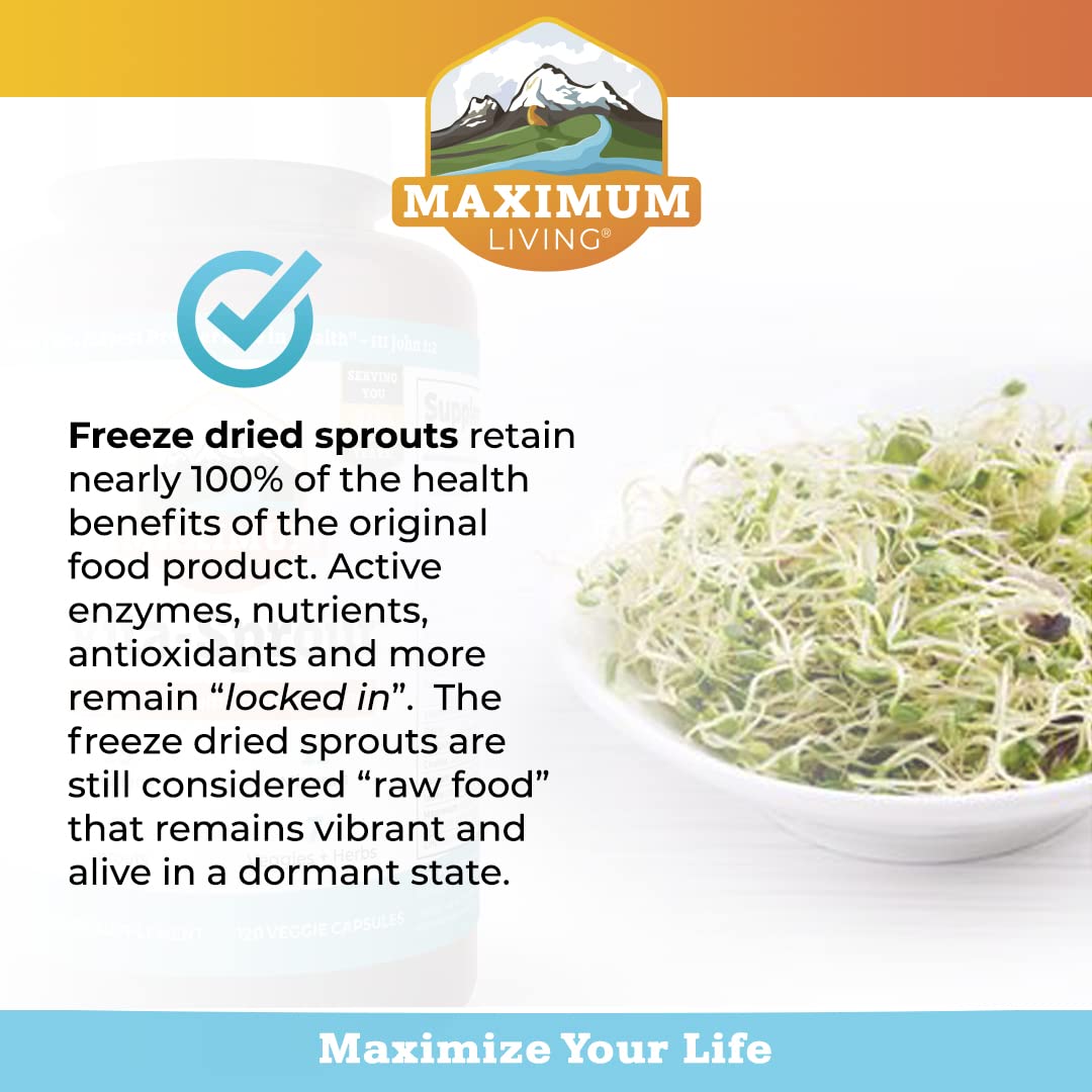 Maximum Living - Vita-Sprout Whole-Food Multivitamin & Phytonutrient Blend - 120 Capsules Maximum Living uk supplements
