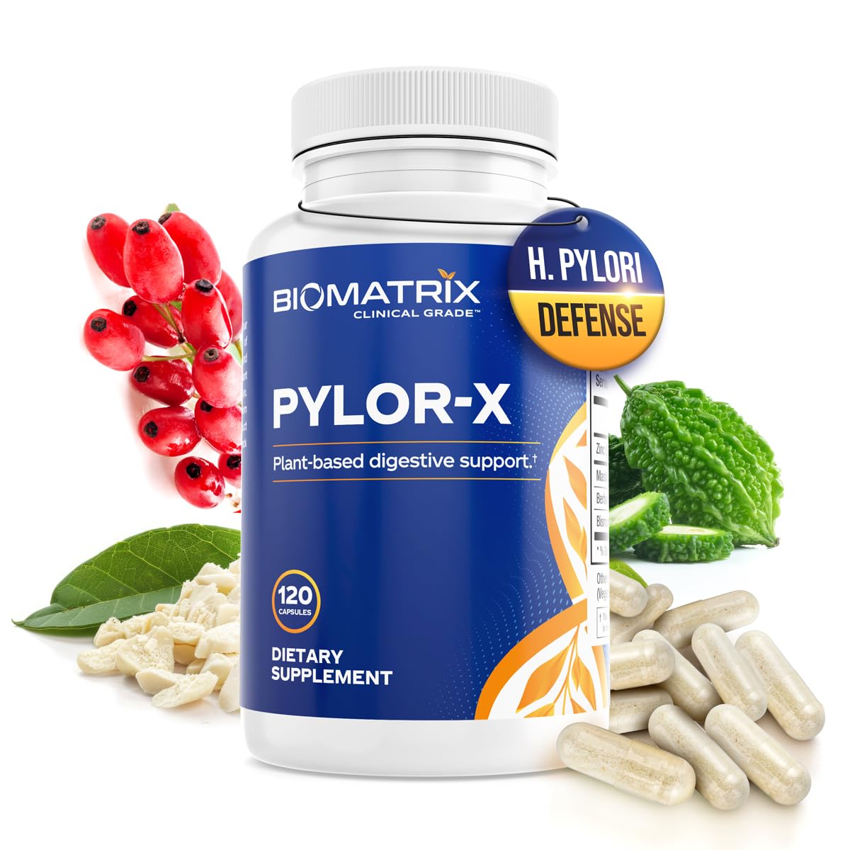 BioMatrix Pylor-X Gut Health Supplement – Mastic Gum, Berberine, Zinc Carnosine & Bismuth Salts for Gastric Support, Digestive Comfort, Stomach Lining Protection - (120 Capsules) 30-60 Day Supply BioMatrix uk supplements