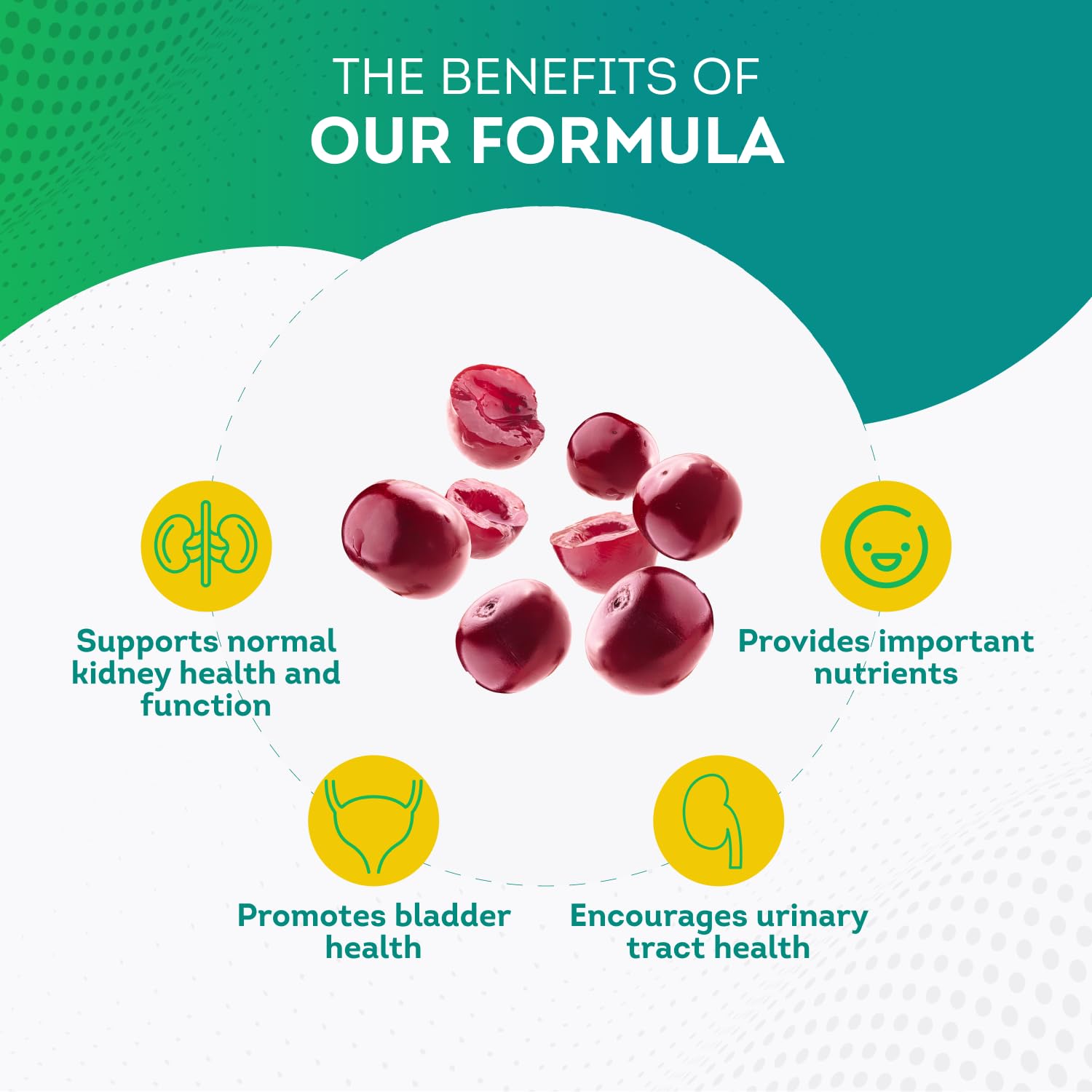 PurePremium Kidney Support Supplement for Men and Women - with Cranberry Extract PurePremium Supplements uk supplements