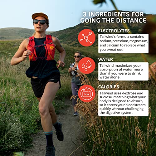 Tailwind Nutrition Endurance Fuel, Caffeine Drink Mix with Electrolytes Tailwind uk supplements