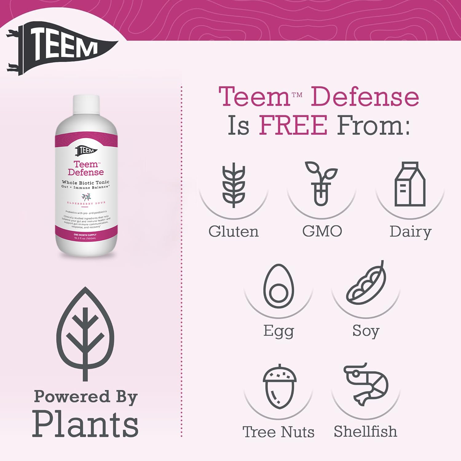 Teem Defense Liquid Probiotic with Elderberry, Whole Biotic Tonic for Digestion & Immunity, Prebiotic Probiotic & Postbiotic Supplement for Kids and Adults, 30 Day Supply – 16.3 Fl.Oz Teem uk supplements