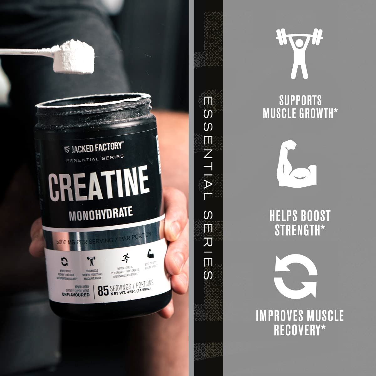 Nitrosurge Pre-Workout & Creatine Monohydrate - Pre Workout Powder With Creatine Jacked Factory uk supplements