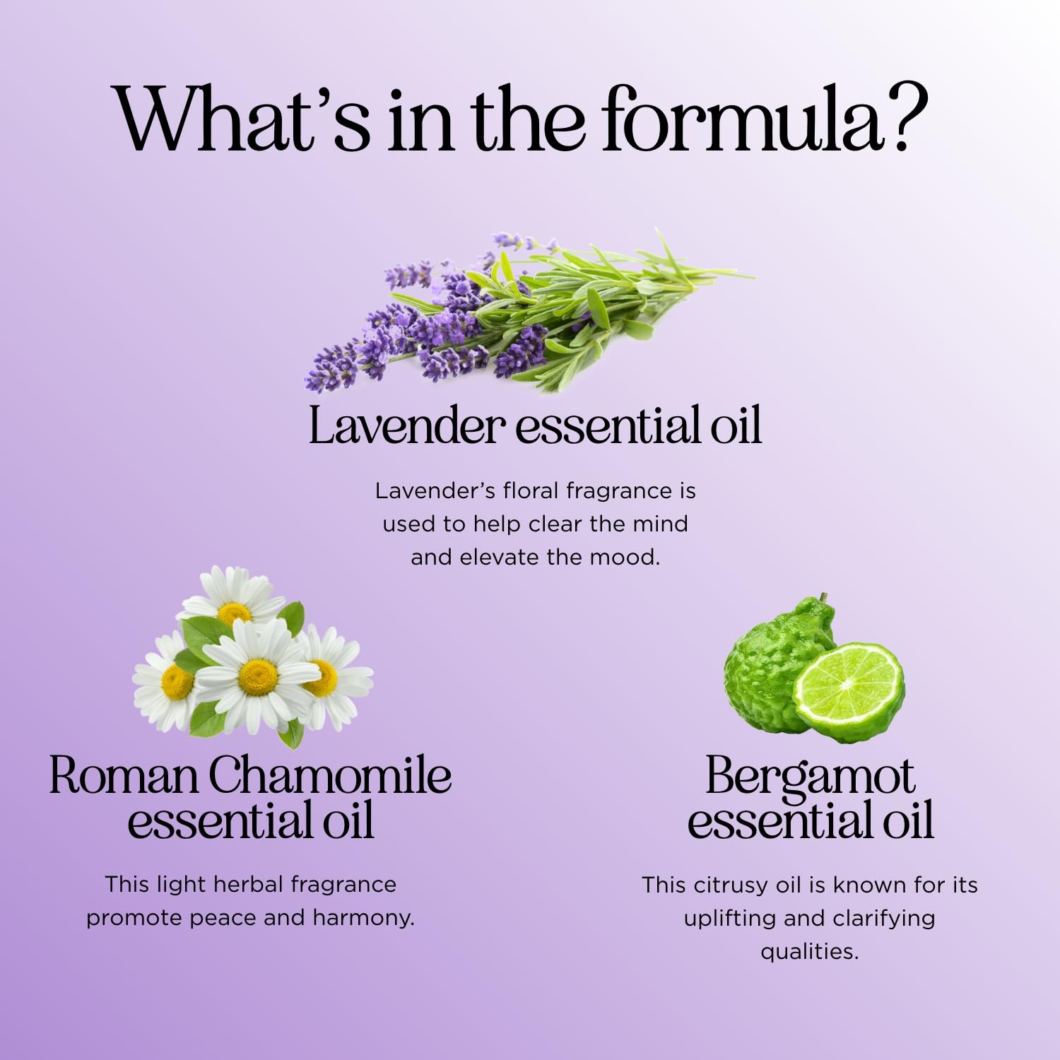 Sleep Essential Oil Blend for Diffuser - Snooze Blend Essential Oil for Sleep with Roman Chamomile Maple Holistics uk supplements