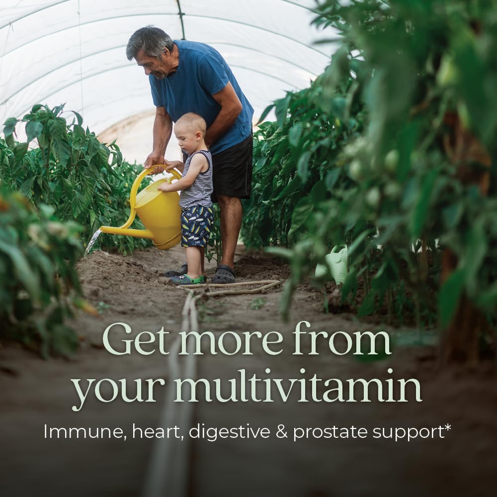 New Chapter Multivitamin for Men 50 Plus + Immune Support - Every Man's One Daily 55+ with Fermented Probiotics + Whole Foods + Astaxanthin New Chapter uk supplements