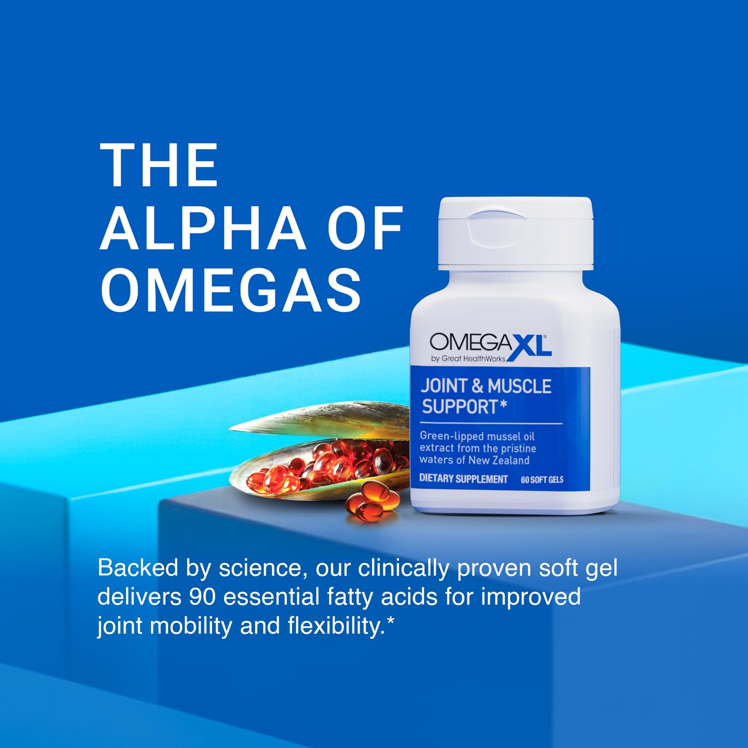 OmegaXL Joint Support Supplement - Natural Muscle Support, Green Lipped Mussel Oil, Soft Gel Pills, Drug-Free, 60 Count (2 Pack) OmegaXL uk supplements