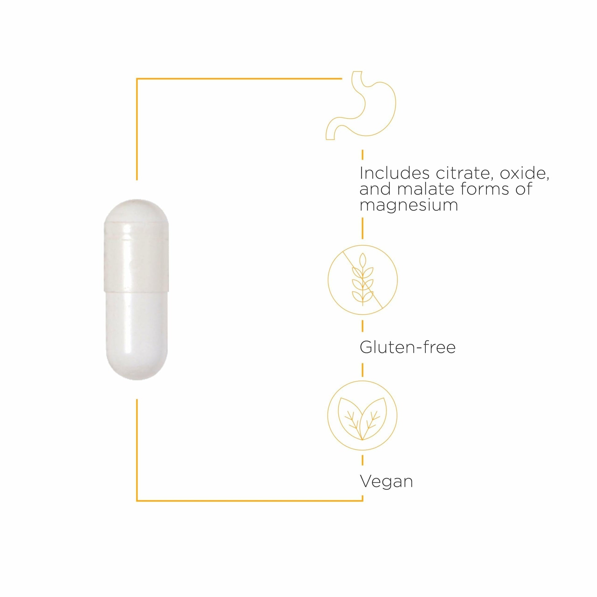 Integrative Therapeutics Tri-Magnesium - Supports Cellular Energy & Energy Metabolism* - Magnesium Supplement for Heart & Nerve Health Support* - Third-Party Tested - 90 Capsules (90 Servings) Integrative Therapeutics uk supplements