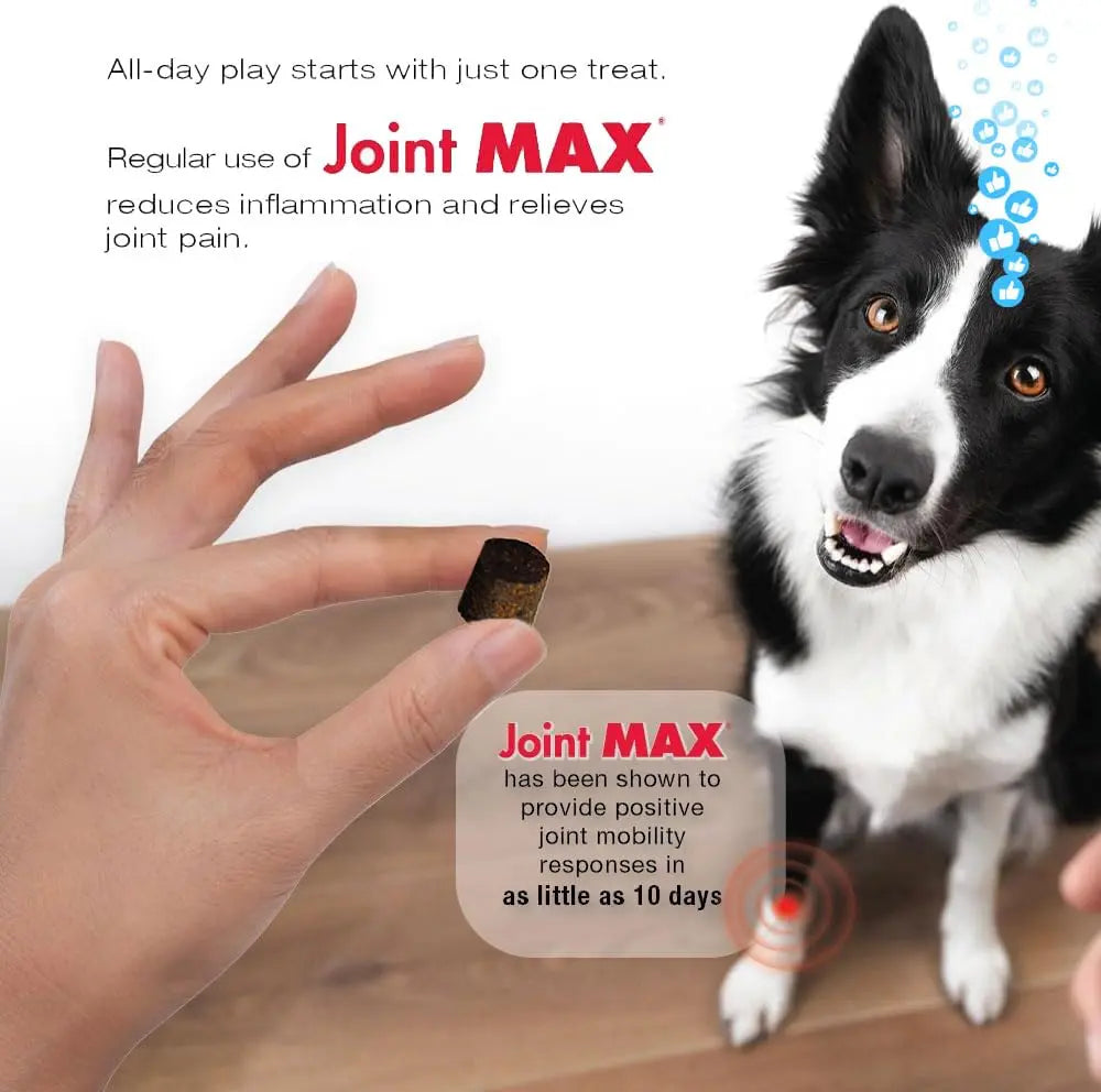 Joint Max TS Joint Supplement Vet Formulated Pain & Inflammation Relief Treats Hip Dysplasia & Arthritis, Glucosamine, Chondroitin, Turmeric, MSM, HA, Creatine, Omega 3 EPA + DHA.120 Soft Chews Joint Max uk supplements