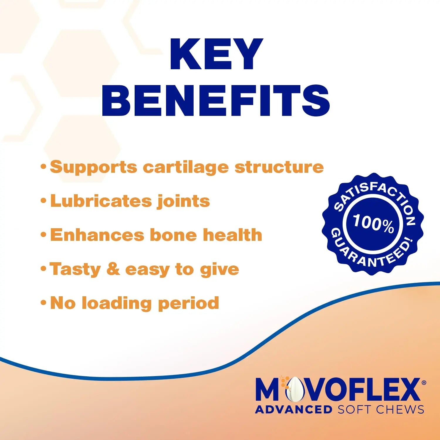 MOVOFLEX Advanced Soft Chews Hip Joint Support Supplement for Large Dogs 60 Count by Virbac MOVOFLEX uk supplements