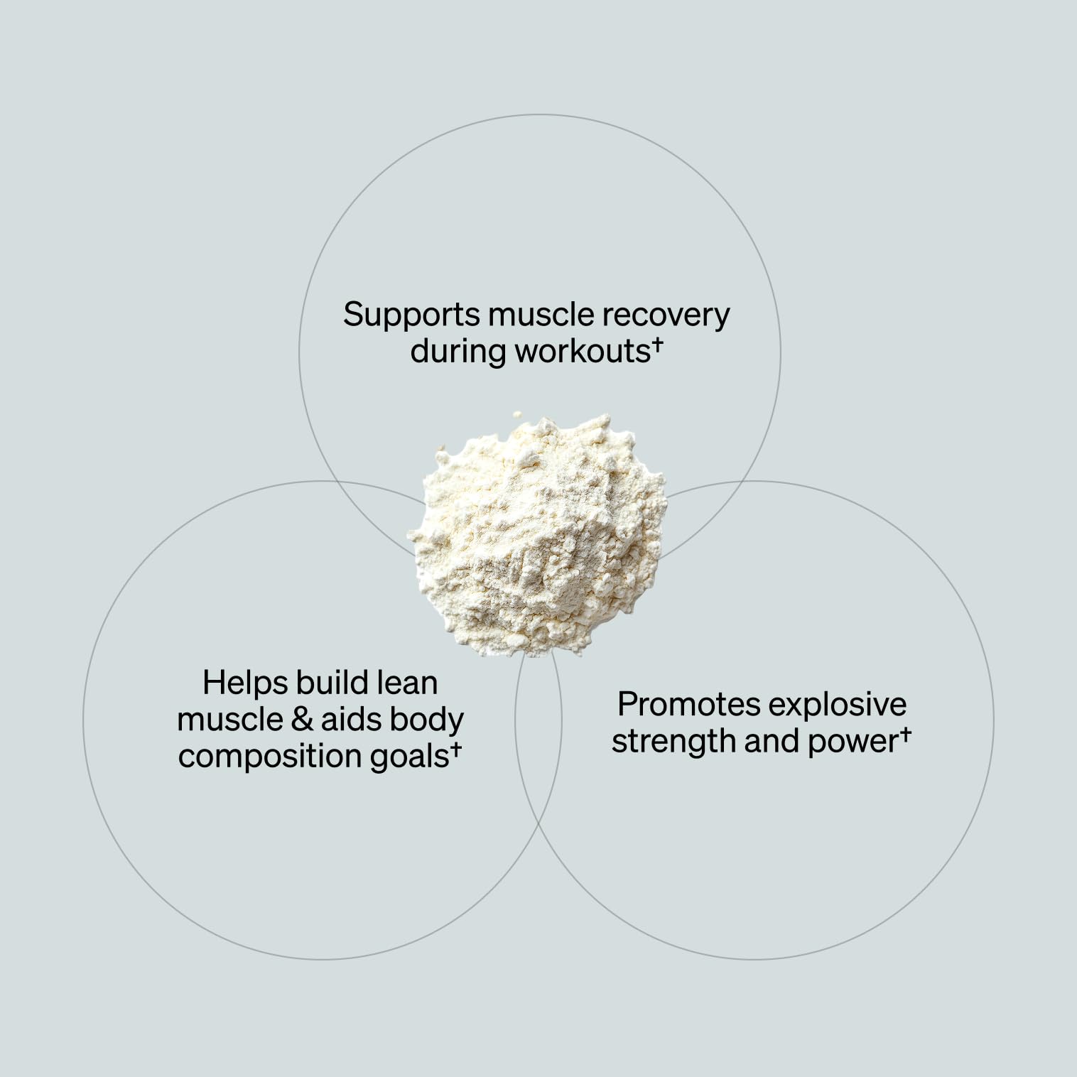 ONNIT Creatine Monohydrate Powder – Unflavored, 90-Serving Value Size – Supports Strength, Lean Muscle, and Brain Energy† – Keto Friendly, No Fillers, 90 Servings, 15.29 oz ONNIT uk supplements