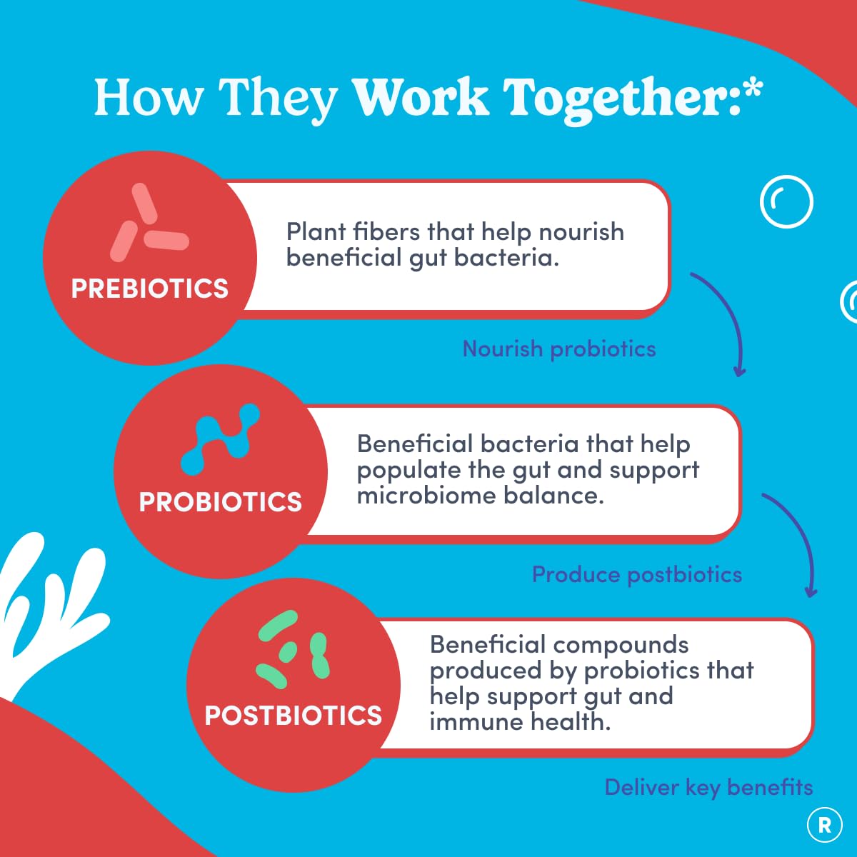 FIRST DAY Teens’ Gut Sustainer Tribiotic Gummies – 3-in-1 Prebiotic, Probiotic & Postbiotic Supplement – Supports Digestive, Skin, Oral & Immune Health, Nutrient Absorption & Growth – 60-Day Supply FIRST DAY uk supplements