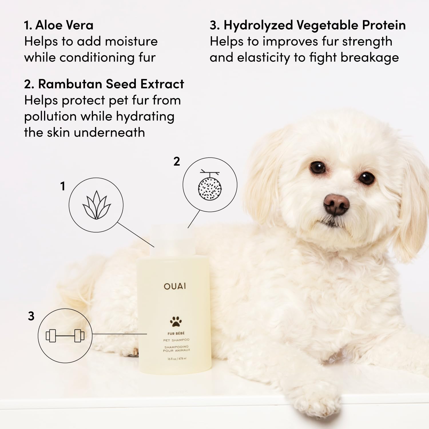 OUAI Fur Bébé Pet Shampoo, Mercer Street Scent - Dog Shampoo and Coat Wash for Hydrating, Cleansing and Adding Shine - Pet Supplies by OUAI (16 Fl Oz) OUAI uk supplements