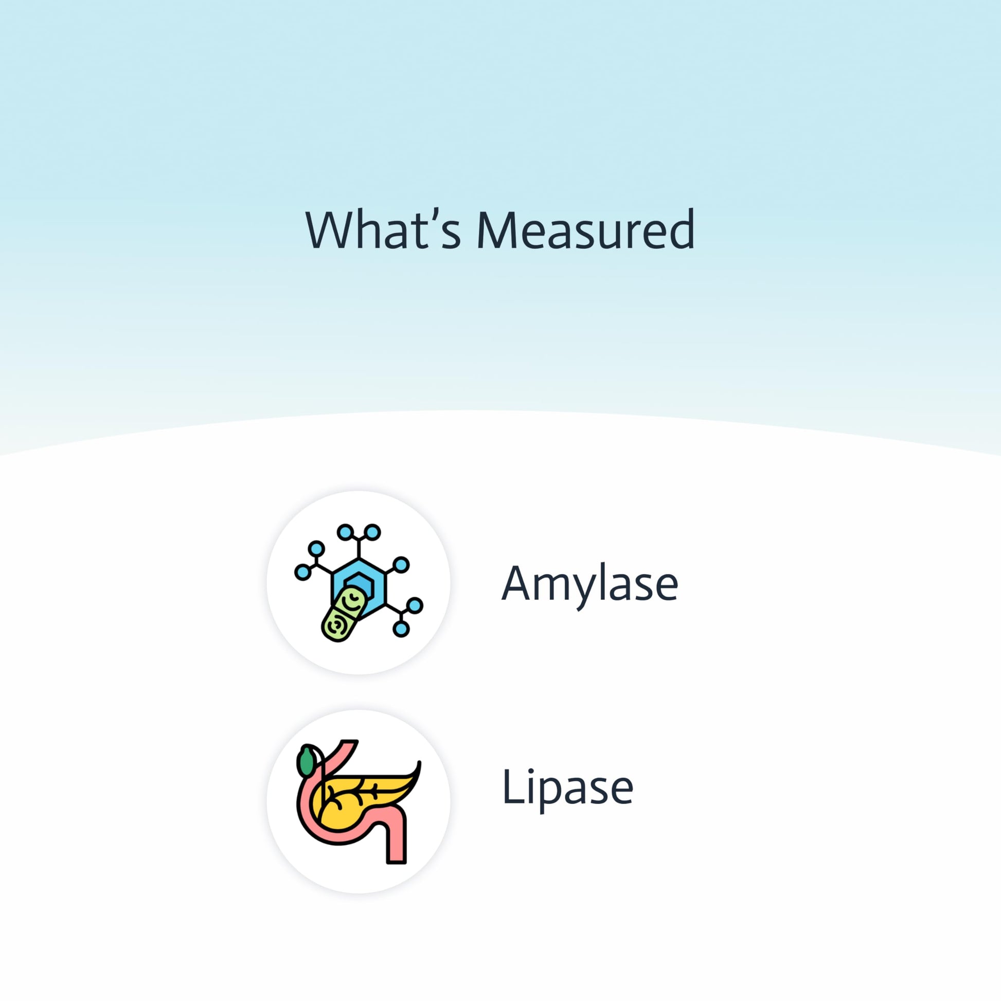 Pancreatic Function Test | 2-in-1 at-Home Test | Amylase | Lipase | Cap & CLIA Accredited Testing | Not Testable in NY & RI Choose Health uk supplements