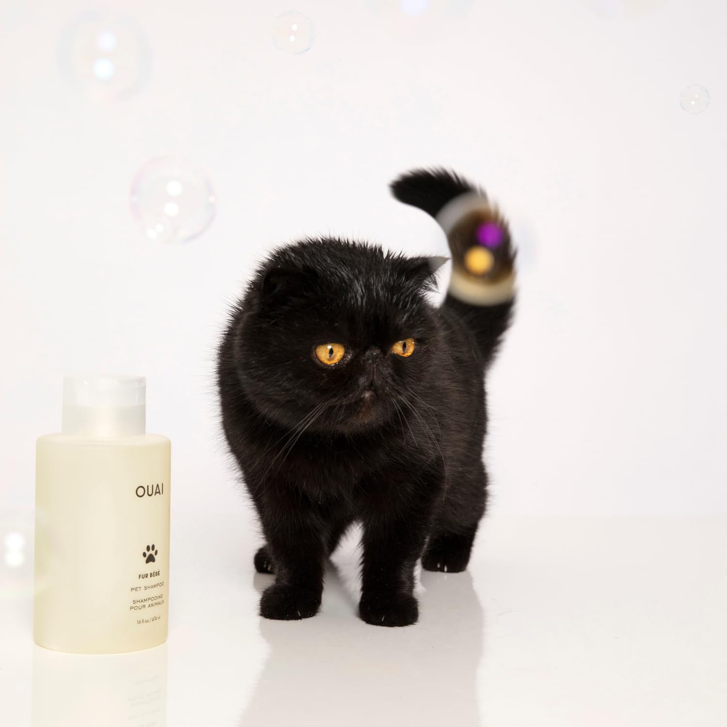 OUAI Fur Bébé Pet Shampoo, Mercer Street Scent - Dog Shampoo and Coat Wash for Hydrating, Cleansing and Adding Shine - Pet Supplies by OUAI (16 Fl Oz) OUAI uk supplements