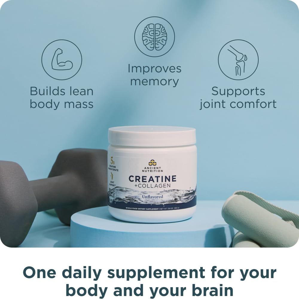 Ancient Nutrition Creatine + Collagen – Muscle Strength, Lean Body Mass, Joint Comfort & Cognitive Support – Includes 5g Creatine Monohydrate for Women, 30 Servings Ancient Nutrition uk supplements
