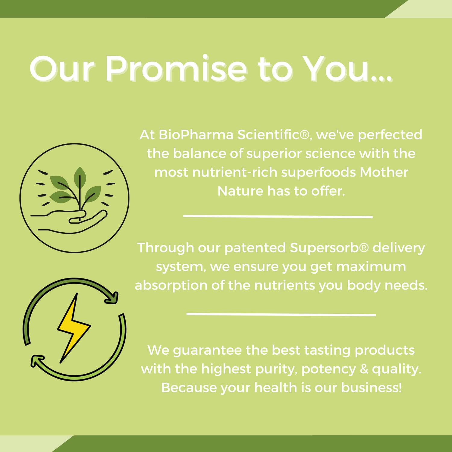 NanoMeal Plant-Based All-in-One Nutrition | Superfood Meal Replacement Powder | Tropical Fruit Blend | 10 Servings | Protein, Greens & Omega for Gut & Immune Support Biopharma Scientific uk supplements