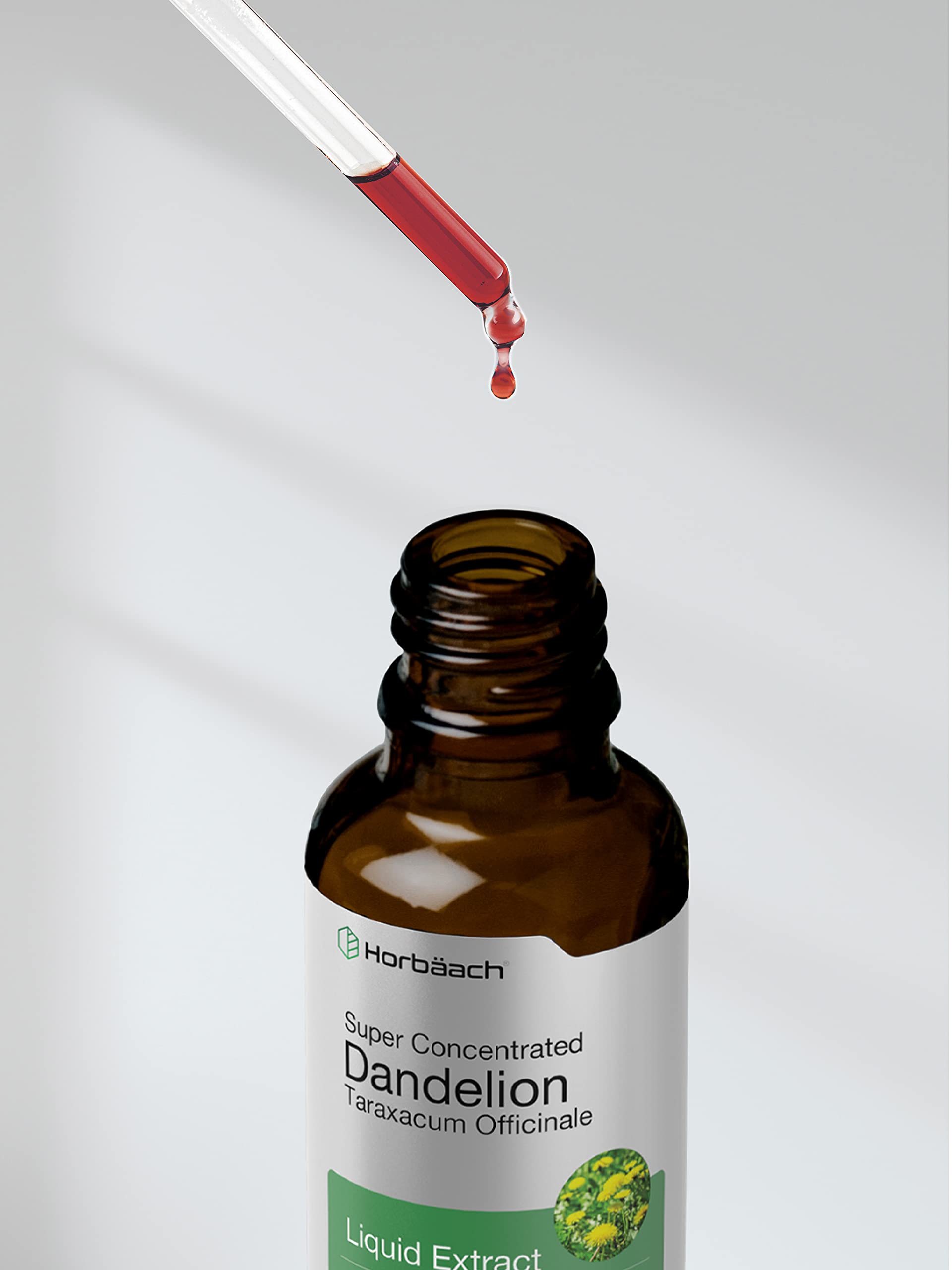 Dandelion Root Extract | 2 fl oz | Super Concentrated | Alcohol Free Liquid Tincture Horbäach uk supplements