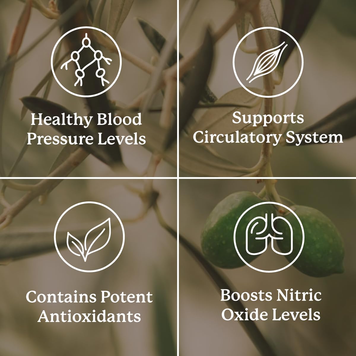 Nature's Sunshine Blood Pressurex 60 Capsules Nature's Sunshine uk supplements