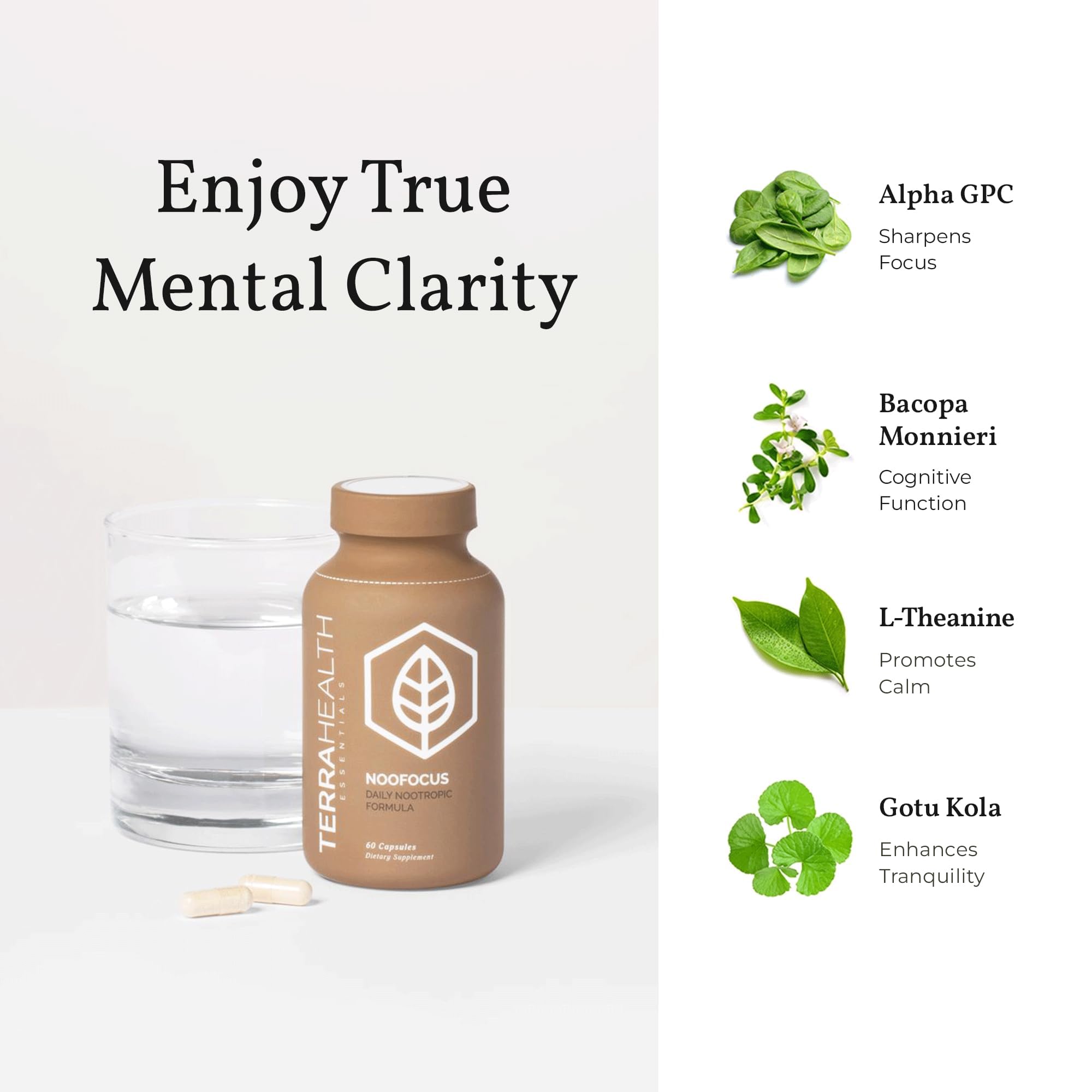 Terra Health Essentials NOOFOCUS - Nootropics Brain Support Supplement with Adaptogenic Mushrooms, Alpha-GPC, Gotu Kola, L-Theanine for Focus & Memory - All Natural, 30 Day Supply Terra Health Essentials uk supplements
